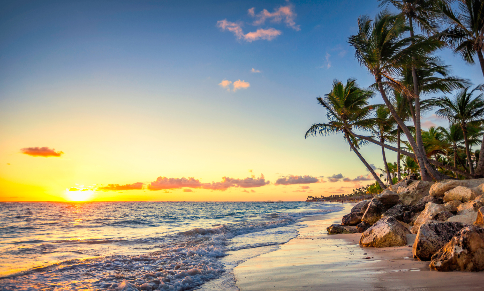 Read more about the article Apply